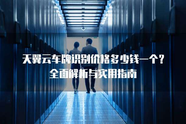 天翼云车牌识别价格多少钱一个？全面解析与实用指南