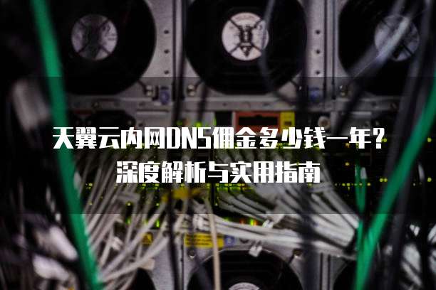 天翼云内网DNS佣金多少钱一年？深度解析与实用指南