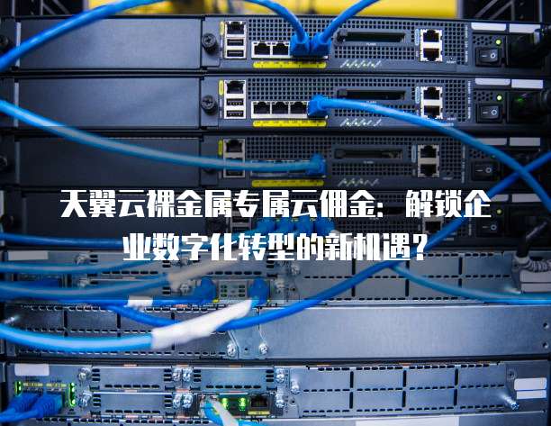 天翼云裸金属专属云佣金:解锁企业数字化转型的新机遇?