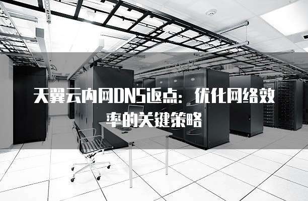 天翼云内网DNS返点：优化网络效率的关键策略