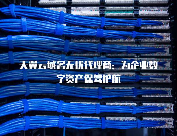 天翼云域名无忧代理商:为企业数字资产保驾护航