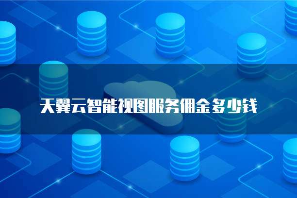 天翼云智能视图服务佣金多少钱
