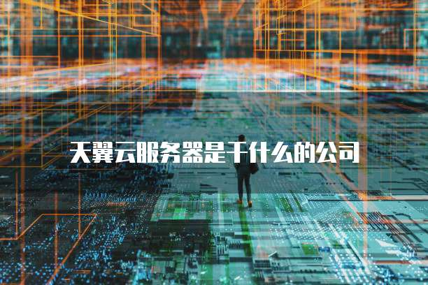 天翼云服务器是干什么的公司