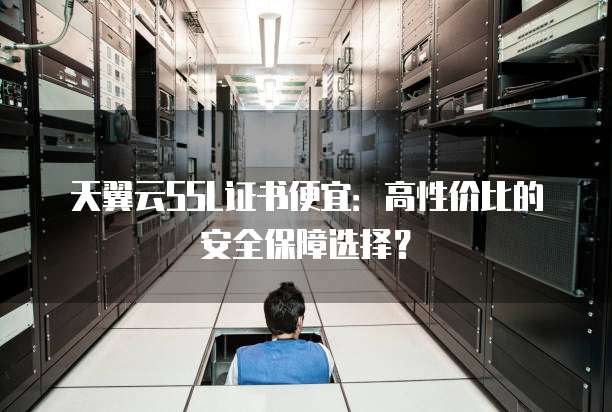 天翼云SSL证书便宜：高性价比的安全保障选择？