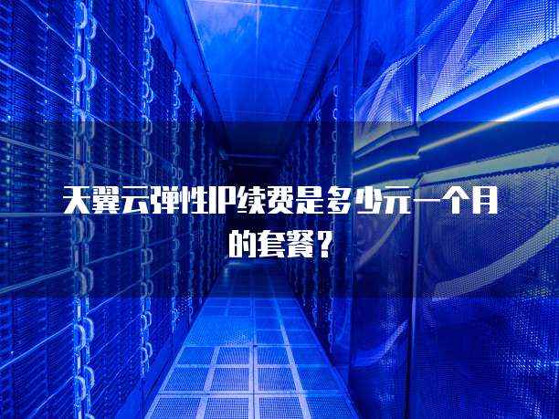 天翼云弹性IP续费是多少元一个月的套餐？