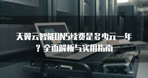 天翼云智能DNS续费是多少元一年？全面解析与实用指南