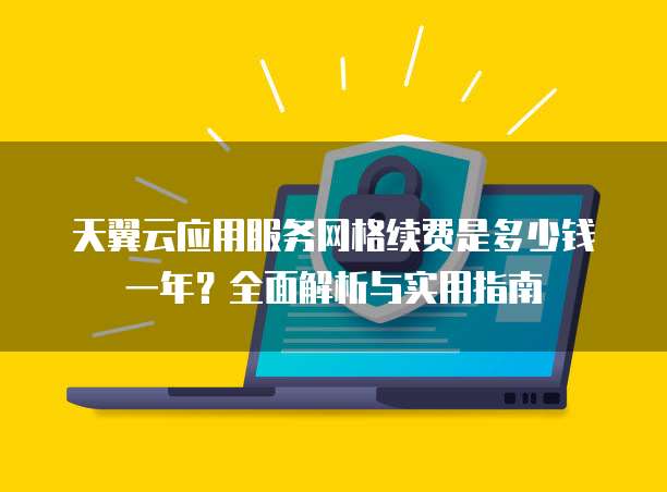 天翼云应用服务网格续费是多少钱一年？全面解析与实用指南
