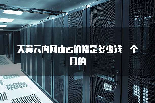 天翼云内网dns价格是多少钱一个月的