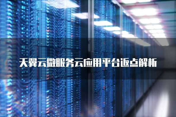 天翼云微服务云应用平台返点解析