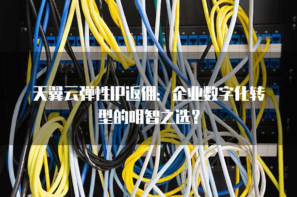 天翼云弹性IP返佣:企业数字化转型的明智之选?