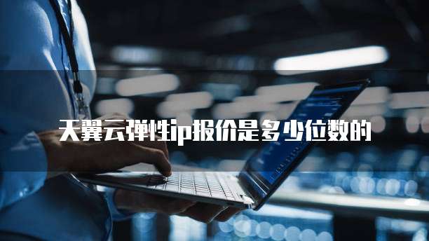 天翼云弹性ip报价是多少位数的