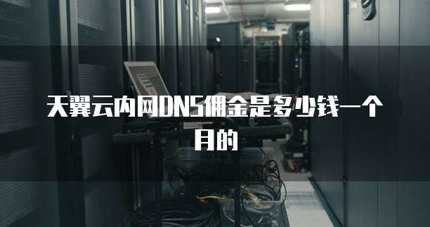 天翼云内网DNS佣金是多少钱一个月的
