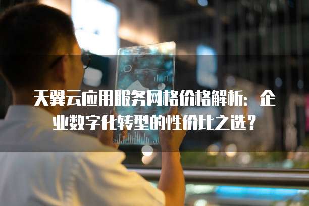 天翼云应用服务网格价格解析:企业数字化转型的性价比之选?