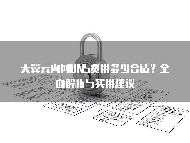 天翼云内网DNS费用多少合适?全面解析与实用建议