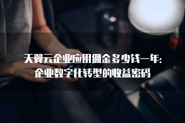 天翼云企业应用佣金多少钱一年:企业数字化转型的收益密码