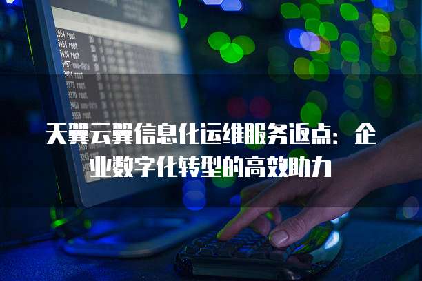 天翼云翼信息化运维服务返点:企业数字化转型的高效助力