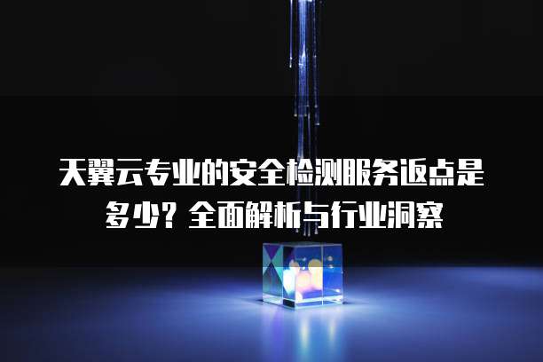 天翼云专业的安全检测服务返点是多少?全面解析与行业洞察