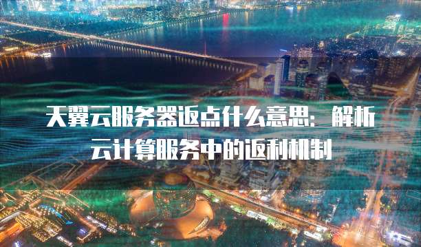 天翼云服务器返点什么意思:解析云计算服务中的返利机制