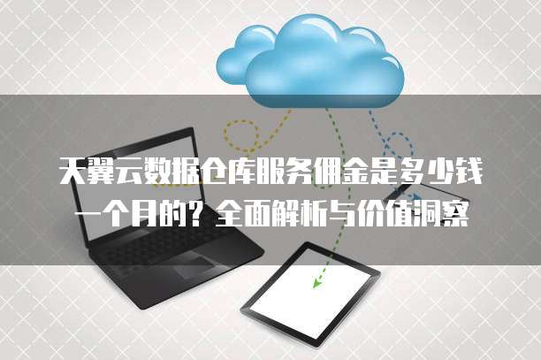 天翼云数据仓库服务佣金是多少钱一个月的？全面解析与价值洞察