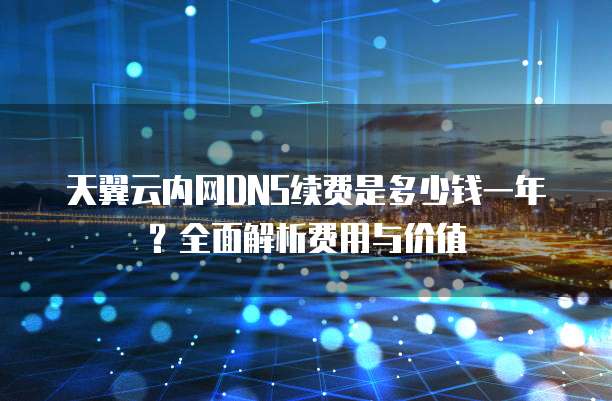 天翼云内网DNS续费是多少钱一年？全面解析费用与价值