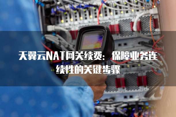 天翼云NAT网关续费:保障业务连续性的关键步骤