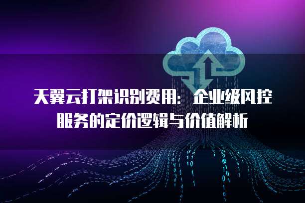 天翼云打架识别费用:企业级风控服务的定价逻辑与价值解析