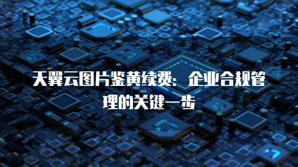 天翼云图片鉴黄续费:企业合规管理的关键一步