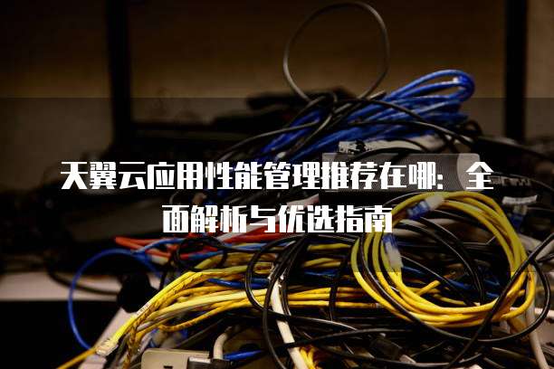 天翼云应用性能管理推荐在哪:全面解析与优选指南