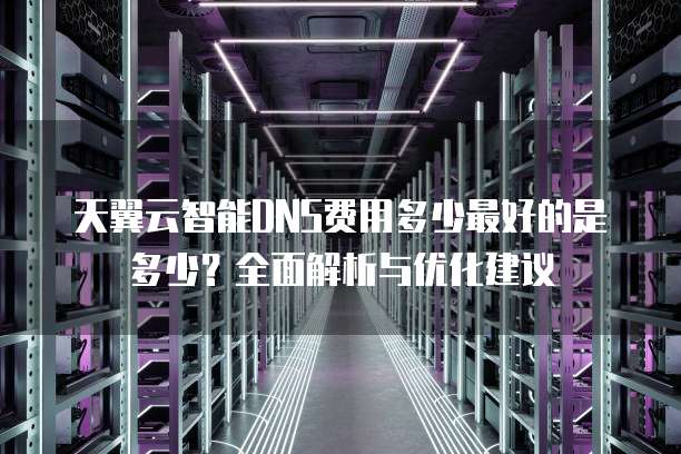 天翼云智能DNS费用多少最好的是多少?全面解析与优化建议