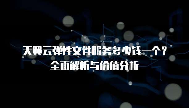 天翼云弹性文件服务多少钱一个?全面解析与价值分析