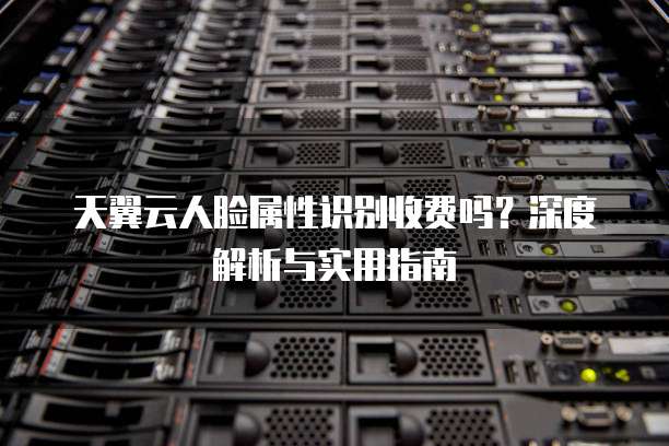 天翼云人脸属性识别收费吗?深度解析与实用指南