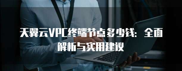 天翼云VPC终端节点多少钱：全面解析与实用建议