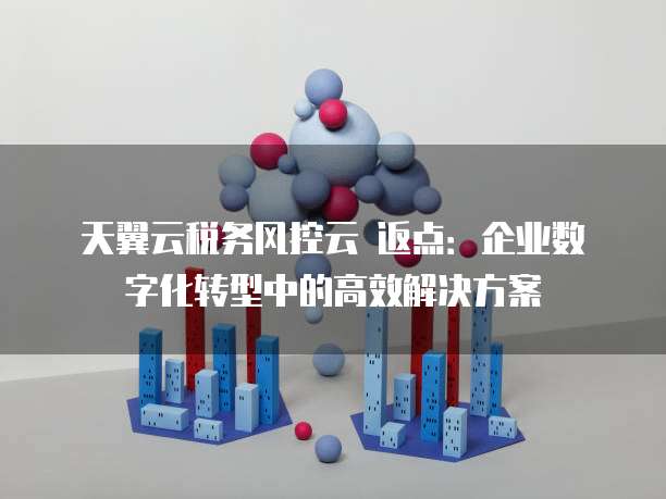 天翼云税务风控云 返点:企业数字化转型中的高效解决方案