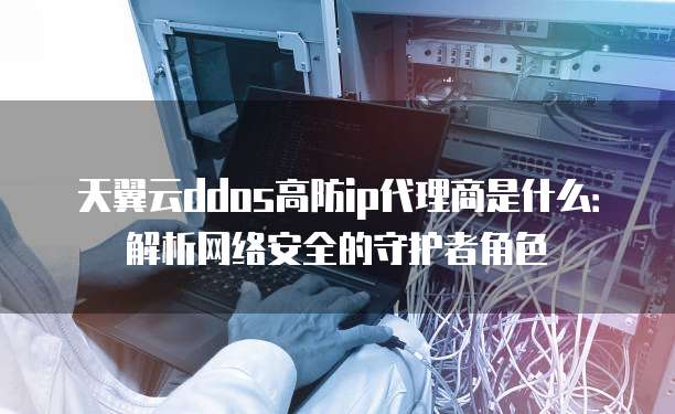 天翼云ddos高防ip代理商是什么:解析网络安全的守护者角色