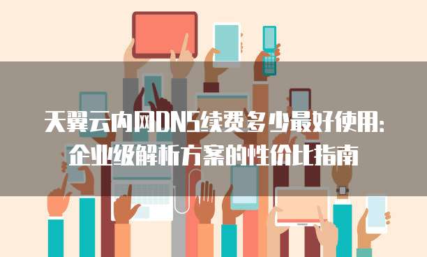 天翼云内网DNS续费多少最好使用:企业级解析方案的性价比指南