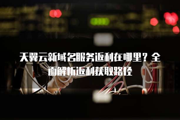 天翼云新域名服务返利在哪里?全面解析返利获取路径
