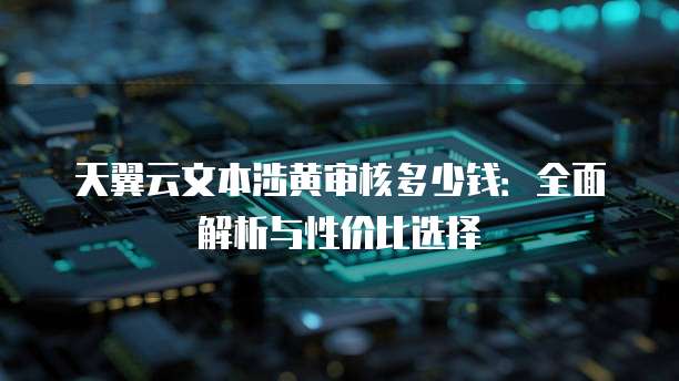 天翼云文本涉黄审核多少钱:全面解析与性价比选择