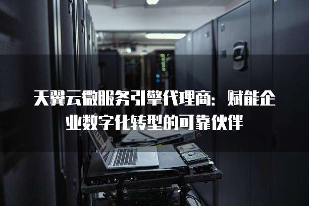 天翼云微服务引擎代理商:赋能企业数字化转型的可靠伙伴