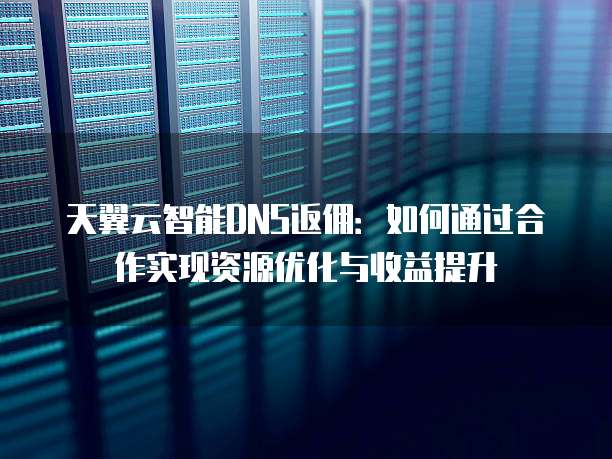 天翼云智能DNS返佣：如何通过合作实现资源优化与收益提升