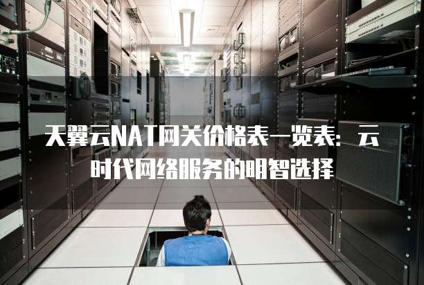 天翼云NAT网关价格表一览表:云时代网络服务的明智选择