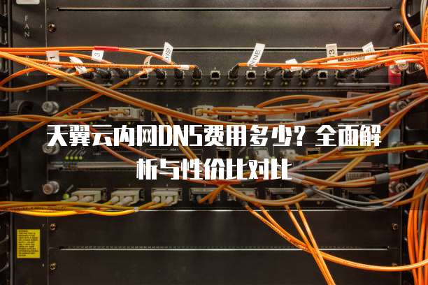 天翼云内网DNS费用多少?全面解析与性价比对比