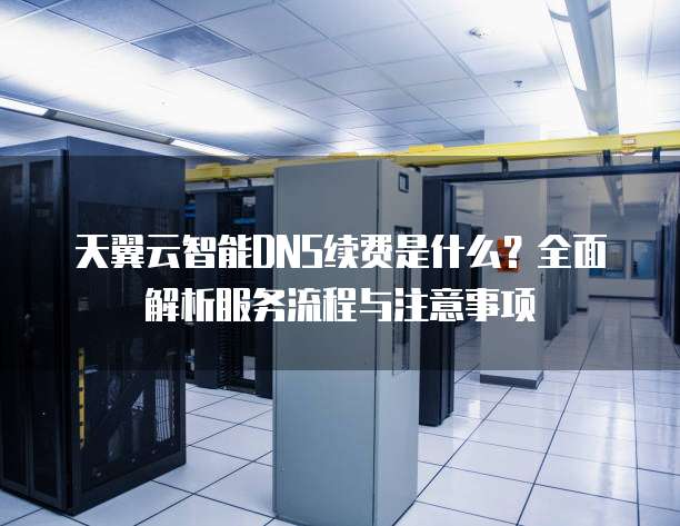 天翼云智能DNS续费是什么?全面解析服务流程与注意事项