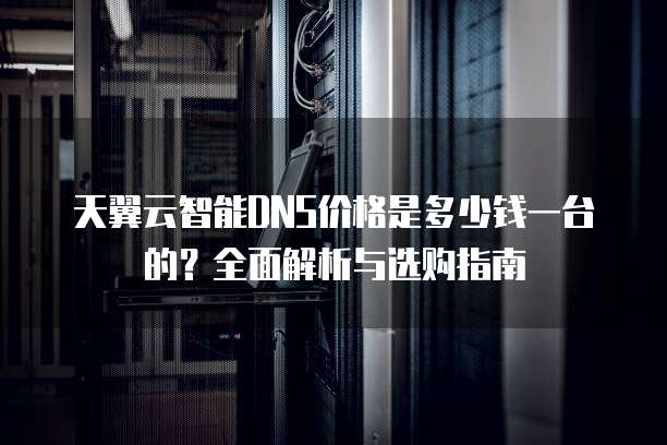 天翼云智能DNS价格是多少钱一台的?全面解析与选购指南