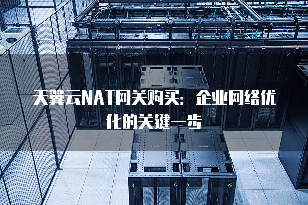 天翼云NAT网关购买:企业网络优化的关键一步