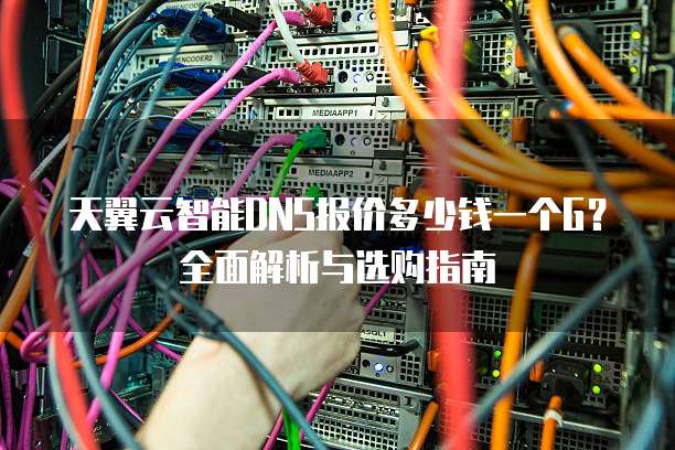 天翼云智能DNS报价多少钱一个G?全面解析与选购指南