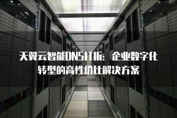 天翼云智能DNS打折：企业数字化转型的高性价比解决方案
