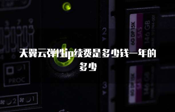 天翼云弹性ip续费是多少钱一年的多少