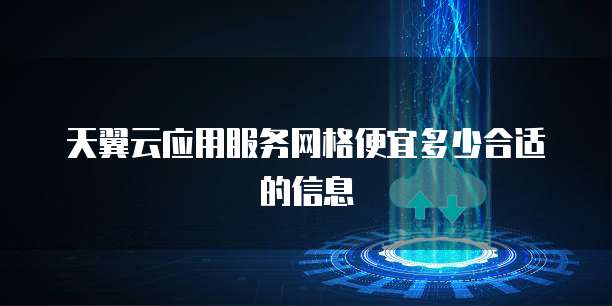 天翼云应用服务网格便宜多少合适的信息