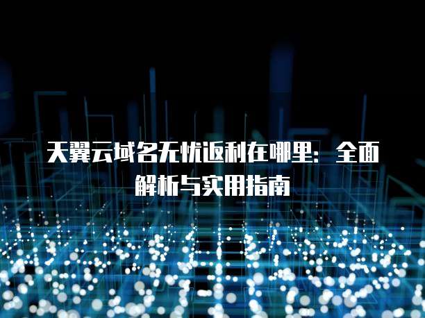 天翼云域名无忧返利在哪里:全面解析与实用指南