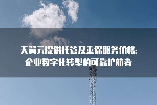天翼云提供托管及重保服务价格:企业数字化转型的可靠护航者